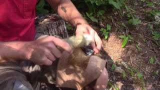 Flint knapping tips Thinning tough pieces [upl. by Drofwarc433]