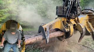 Feller Cutting Trees  Multi camera perspective [upl. by Rollins613]