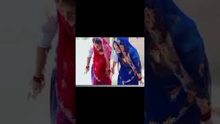 RAJASTHANI SONG SINGER SUMER RANA rajasthanisong shorts jssc ownvoice pigeon outfit kannada [upl. by Ayotnahs224]