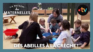 Des abeilles à la crèche   La Maison des maternelles LMDM [upl. by Nylirej141]