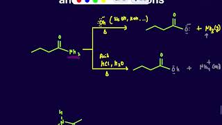 Hydrolysis of Amide under acidic and Basic Conditions [upl. by Josi707]