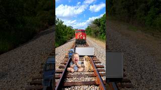 Dog  Small Kids  Train Driver  Funny vfx Magic video shorts viral vfx ytshorts [upl. by Mirabel293]