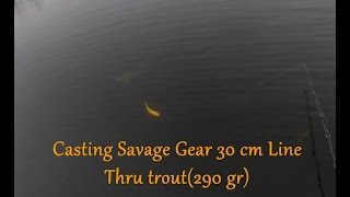 Casting 30 cm Savage Gear Line Thru trout and a big pike follow [upl. by Pride625]