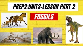 Science prep2 unit3 lesson 1fossils part2 [upl. by Laehplar408]