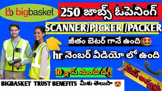 250 job openings in Big basket picking and packing scanning jobs full information with good salary [upl. by Litch]