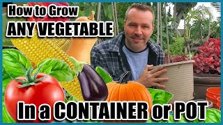 How to Grow Vegetables in Containers  Container Gardening  Self Sufficient Sunday [upl. by Anoy]