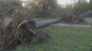 Waycross couple thankful after several pine trees fall during Helene nearly missing home truck [upl. by Bohun]