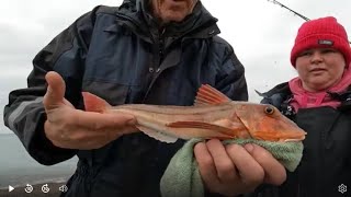 QUIET SESSION AT BRANSCOMBE  beachfishing seafishinguk [upl. by Debarath]