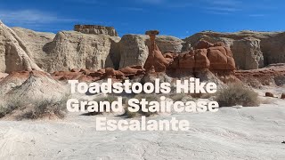 Toadstools Hike With Dog Grand Staircase Escalante [upl. by Nnaeus899]