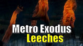 Metro Exodus Worm Explored  Novosibirsk Leech Morphology and Tunnel Explained  Lore Analysis [upl. by Hirza]