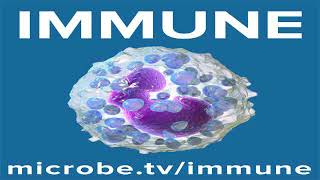 Immune 28 Fish immunology [upl. by Hannis]