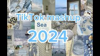 TikTok mashup 2024NOT CLEANtiktokmashup dances viral song 2024 mashup edit frypシ [upl. by Irak]