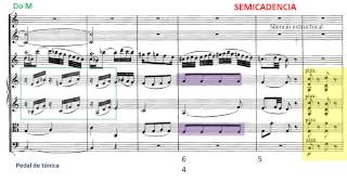 Mozart Andante para flauta y orquesta Kv 315 Musical Analysis [upl. by Hadihahs486]