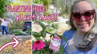 Planting a HUGE Plant Haul Mystic Spires Salvia Double Echinacea Supertunias Scaevola Zone 8b [upl. by Prowel]