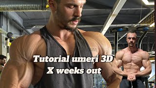 Cum sa faci Umeri 3D Ego lift  Antrenament Umeri  Triceps [upl. by Lower]