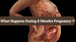 8 Months Pregnancy and Baby’s development in 8 month pregnancy Month by Month [upl. by Eimmac325]