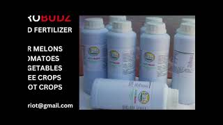 BEST LIQUID FOLIAR FERTILIZER AGROBUDZ [upl. by Tranquada573]