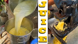 Fruit Juice Making  Ananas ka juice [upl. by Lotte]