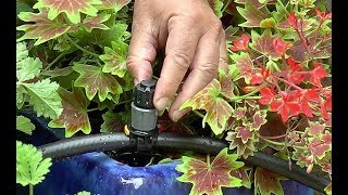 COMMENT ET POURQUOI INSTALLER UN SYSTÈME DE MICRO ARROSAGE DANS LE JARDIN OU SUR LE BALCON [upl. by Mingche]