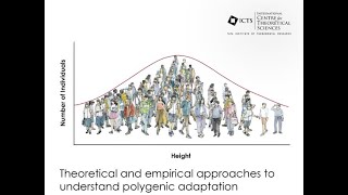 GWAS and Quantitative Genomics by Bruce Walsh [upl. by Ronyam]