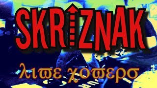 SKRIZNAK  live covers 2017 [upl. by Hada]