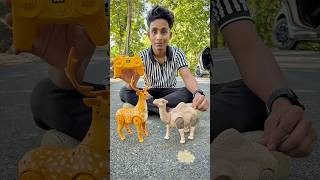 Rc Camel And Remote Control Deer Unboxing🔥🦌 [upl. by Eemla597]