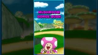 EXPERT Strategies for the Mushroom Cup MarioKartWii [upl. by Ariahay]