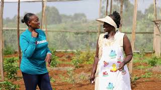 WAMBUGU APPLE AND OTHER FRUITS FARM IN SOY KAKAMEGA COUNTY 254790266190254727964458 [upl. by Issac]