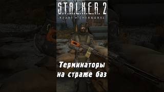 В зоне появились терминаторы D  STALKER 2 [upl. by Bartie518]