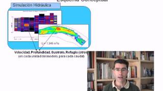 Régimen ecológico de Caudales la metodología IFIM y la Simulación del Hábitat Físico   UPV [upl. by Netfa]