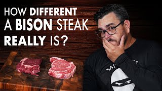 How DIFFERENT is a BISON RIBEYE from a BEEF STEAK  Salty Tales [upl. by Ainimreh]