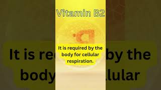 WHAT IS VITAMIN B2  RIBOFLAVIN 016 shorts [upl. by Nudd]