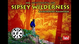 Sipsey Wildernesss Borden Creek Trail 200 [upl. by Devaney]