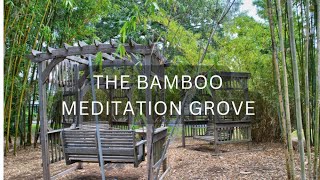 Bamboo meditation grove [upl. by Anidan]