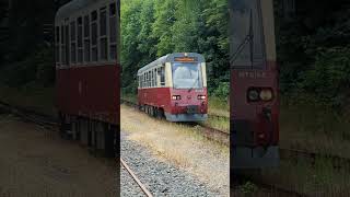 HSB Harzer Schmalspurbahn Mägdesprung Shorts 1001 trainspotting eisenbahn railway spoorwegen [upl. by Ahsenahs]