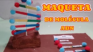 MAQUETA DE ADN COMO HACER UNA MAQUETA DE MOLECULA DE ADN ADN ACIDODESOXIRRIBONUCLEICO [upl. by Nnylecoj]