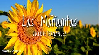 Las Mañanitas  Vicente Fernández Letra [upl. by Anivlis]