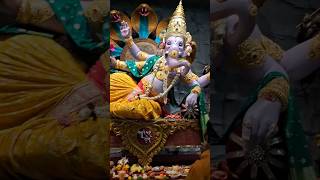 Bhaveshwar cha Raja 2024🙏ganpatibappamorya [upl. by Nais]