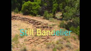 STILL BANDELIER [upl. by Euginom]