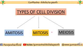 TYPES OF CELL DIVISION  AMITOSIS  MITOSIS  MEIOSIS [upl. by Ocinemod711]