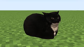 maxwell the cat in minecraft [upl. by Claretta274]