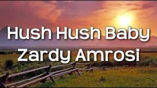 Hush Hush Baby  Zardy Official Lyric Video [upl. by Ataymik336]