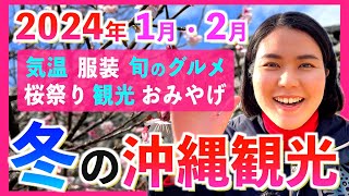 【沖縄観光NEWS】2024年1月•2月の沖縄を大満喫するならこちら！服装•グルメ•桜まつり•おみやげなど私のオススメを紹介します！ [upl. by Tosch]