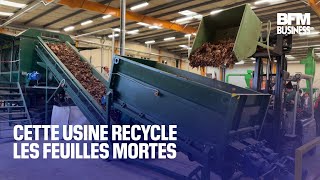 Cette usine recycle les feuilles mortes [upl. by Syned]