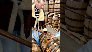 whiskey thieving 101 whiskeybarrel bourbon bourbonbarrel whiskeythief barrelproof thief [upl. by Noslen]