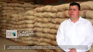 Comercio Justo  Cafe Pequeños Productores Colombia [upl. by Mitzl]