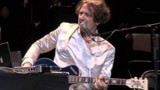 Goran Bregovic  Bella Ciao   LIVE  Paris 2013 [upl. by Nodlehs]