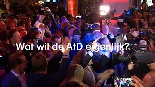 Wat wil de AfD eigenlijk  RTL NIEUWS [upl. by Ermengarde207]