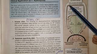 Deoxy Ribonucleotide Synthesis Chap 22 Part Biochemistry Lippincott [upl. by Aihsikal]