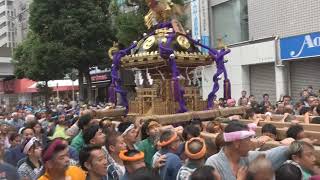 令和６年 市川市＜第17回・行徳まつり＞「行徳相祭會」神輿＝出御（南行徳市民センター～駅前北ロータリー） [upl. by Tandi]